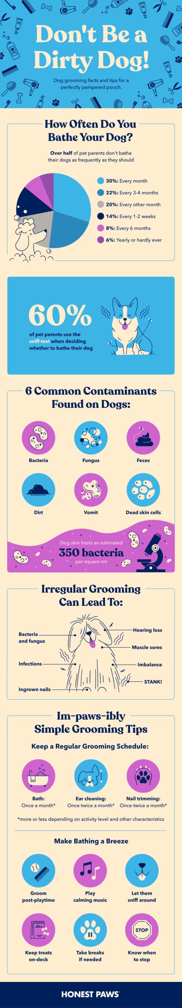 Honest Paws, grooming infographic